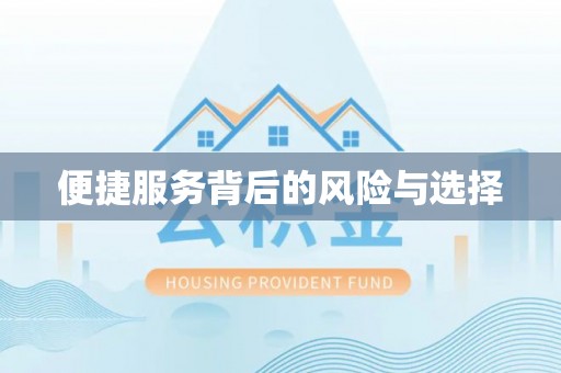 娄星便捷服务背后的风险与选择