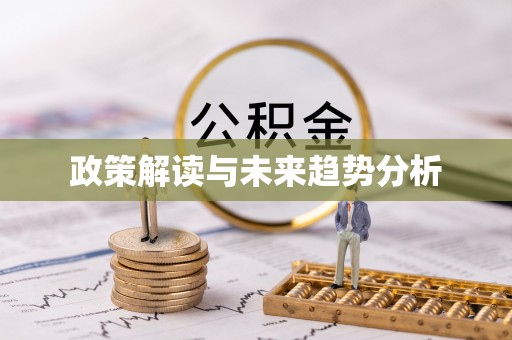 娄星政策解读与未来趋势分析