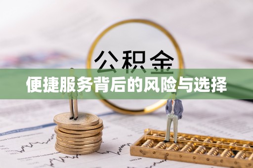 娄星便捷服务背后的风险与选择