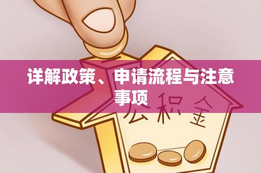 娄星详解政策、申请流程与注意事项