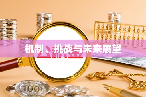 娄星机制、挑战与未来展望