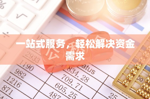 娄星一站式服务，轻松解决资金需求