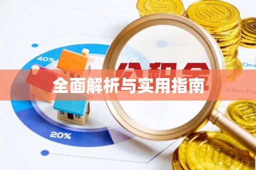 娄星全面解析与实用指南