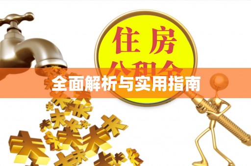 娄星全面解析与实用指南