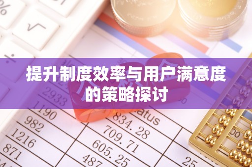 娄星提升制度效率与用户满意度的策略探讨
