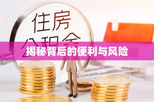 娄星揭秘背后的便利与风险