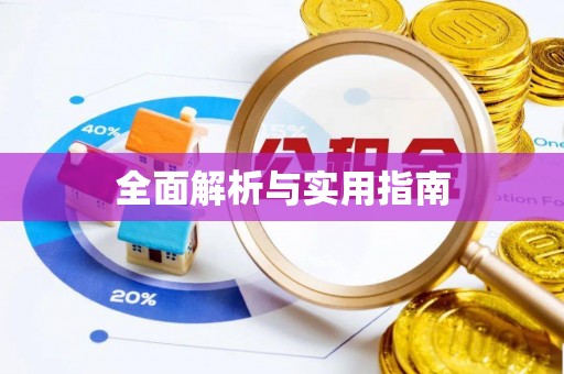 娄星全面解析与实用指南