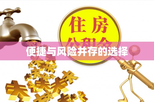娄星便捷与风险并存的选择