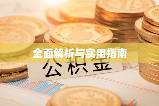 娄星全面解析与实用指南