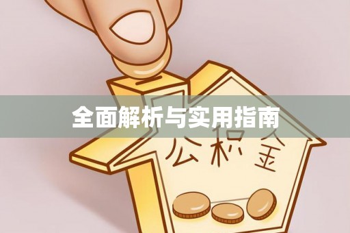 娄星全面解析与实用指南