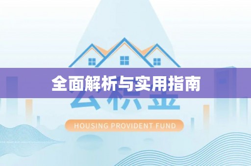 娄星全面解析与实用指南